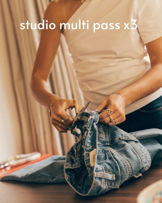 studio mutli pass x3